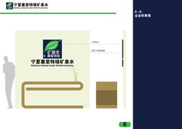 kevin zyt 品牌視覺體系構建方案 從logo設計到企業形象策劃